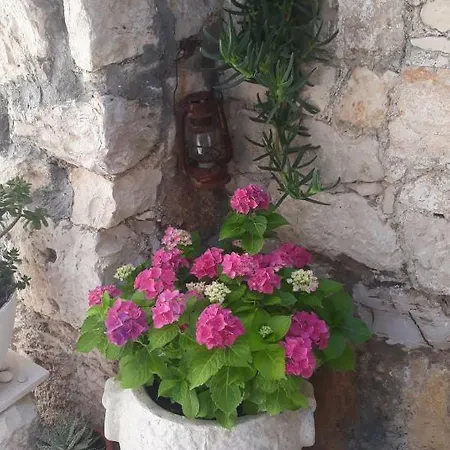 Lucica *